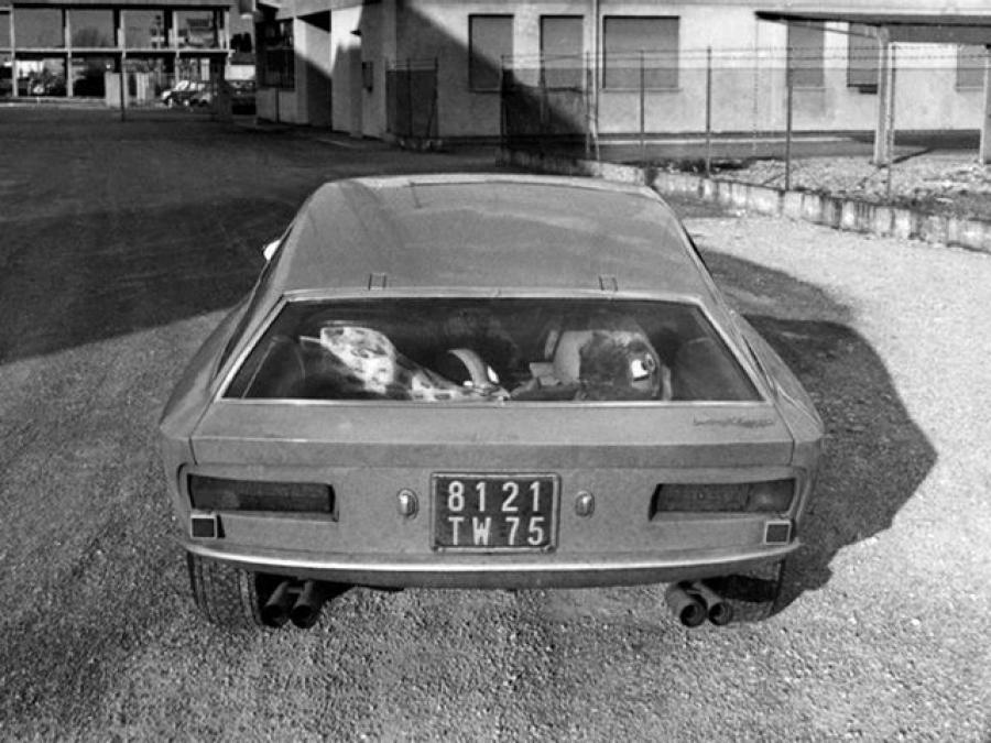  Lamborghini Flying Star II 1966 года  (фото 6 из 7)